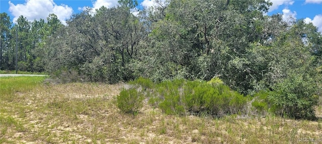 11250 N Ely Pt, Citrus Springs, FL 34433 - photo 4