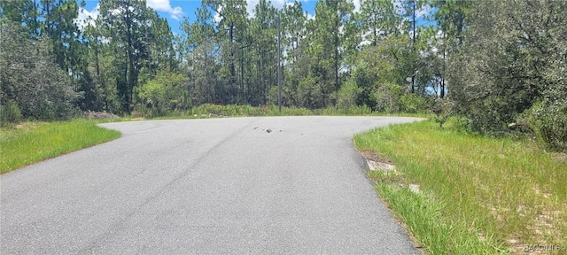 11250 N Ely Pt, Citrus Springs, FL 34433 - photo 7