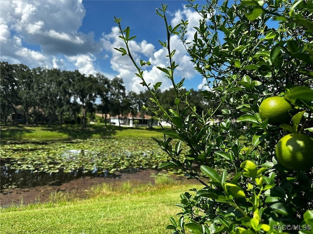 9771 E Pebble Creek Ct, Inverness, FL 34450 - photo 46