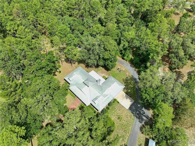 7802 N Fairwind Loop, Hernando, FL 34442 - aerial overview of property's location