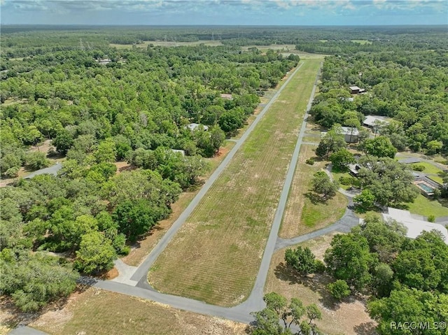 7802 N Fairwind Loop, Hernando, FL 34442 - aerial view of a forest
