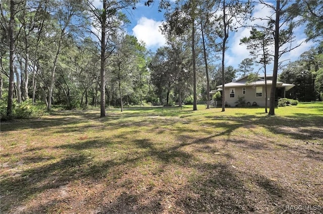 7802 N Fairwind Loop, Hernando, FL 34442 - view of green lawn