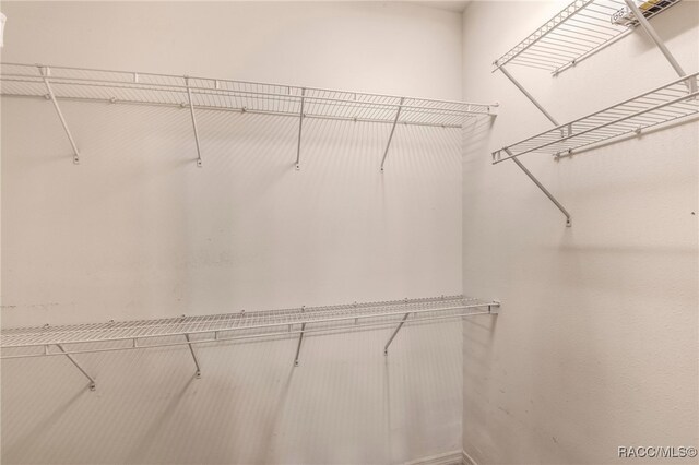 1052 W Diamond Shore Loop, Hernando, FL 34442 - view of spacious closet