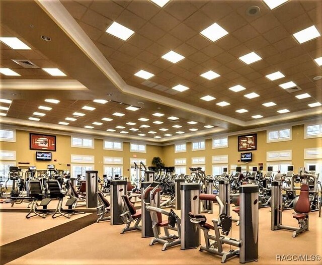 1052 W Diamond Shore Loop, Hernando, FL 34442 - workout area featuring carpet flooring, a paneled ceiling, and a towering ceiling