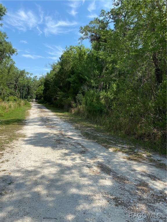 545 S Winterset Ave, Crystal River FL, 34429 land for sale