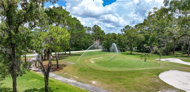 85 Golfview Dr, Homosassa, FL 34446 - photo 35