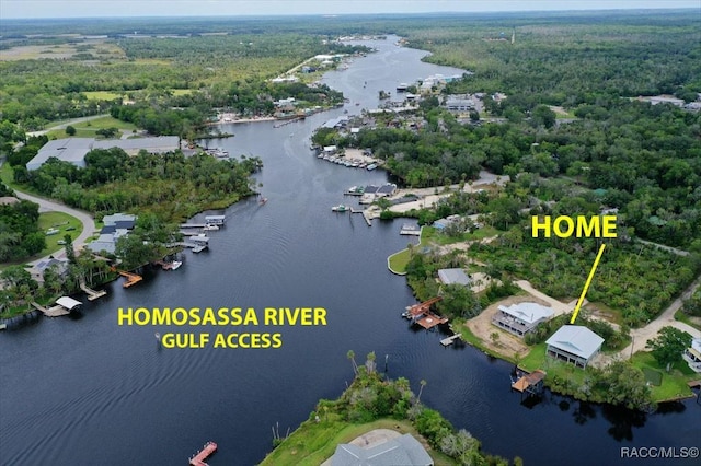 5500 S Cedar Mill Path, Homosassa, FL 34448 - drone / aerial view of a nearby body of water and a forest