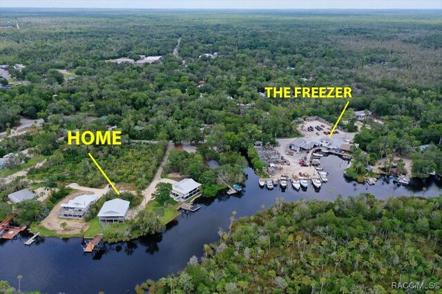 5500 S Cedar Mill Path, Homosassa, FL 34448 - aerial view of property and surrounding area with a forest and a nearby body of water