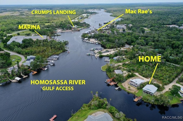 5500 S Cedar Mill Path, Homosassa, FL 34448 - aerial view of a nearby body of water