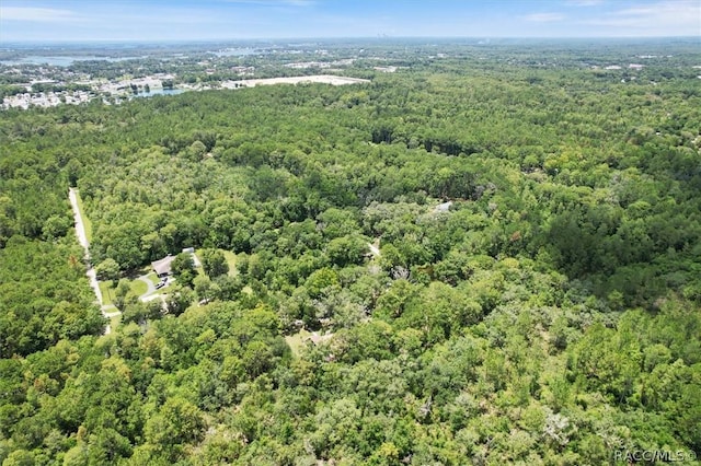 8059 W Jonathan Ln Unit 5, Crystal River, FL 34429 - photo 66