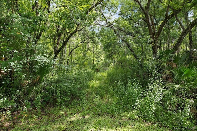 view of landscape