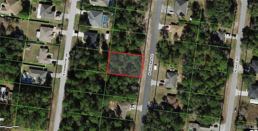 8122 Galena Ave, Citrus Springs, FL 34434