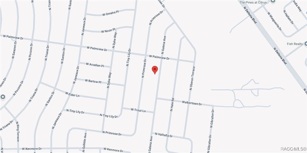 8122 Galena Ave, Citrus Springs, FL 34434