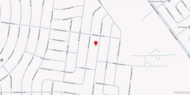 8122 Galena Ave, Citrus Springs, FL 34434