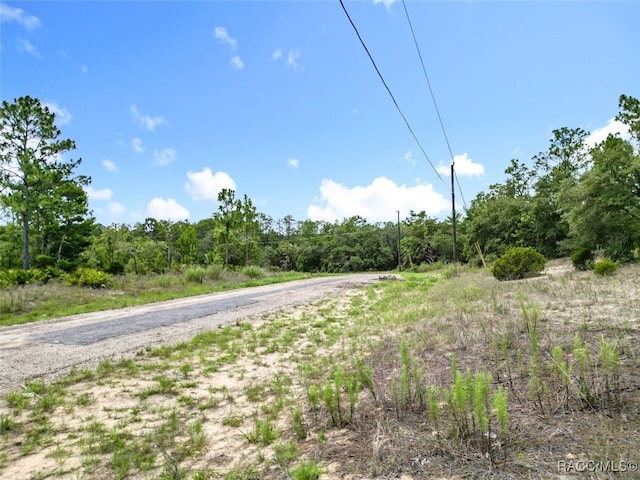 6688 N Sand Dr, Citrus Springs, FL 34433 - photo 9