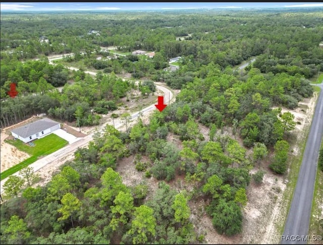 6688 N Sand Dr, Citrus Springs, FL 34433 - photo 11
