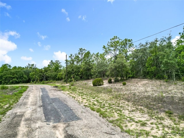 6688 N Sand Dr, Citrus Springs, FL 34433 - photo 8