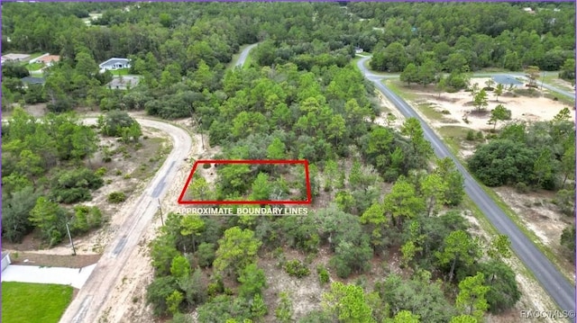 6688 N Sand Dr, Citrus Springs, FL 34433 - photo 5