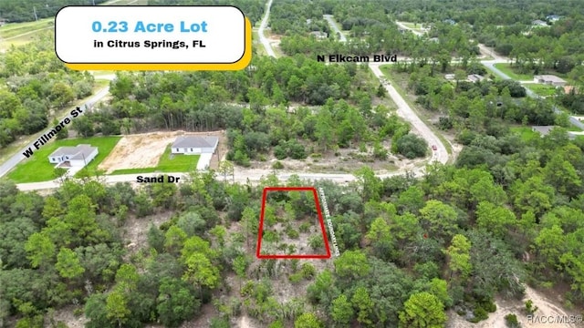 6688 N Sand Dr, Citrus Springs, FL 34433 - photo 1