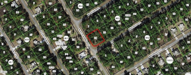 241 W Diego Pl, Citrus Springs FL, 34434 land for sale