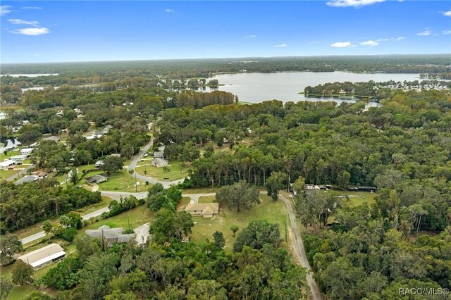 737 S Gospel Oaks Ter, Inverness, FL 34450 - photo 5