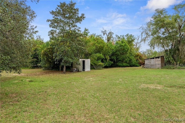 view of yard featuring an outdoor structure