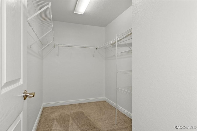 737 S Gospel Oaks Ter, Inverness, FL 34450 - photo 24