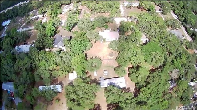 4331 S Marcan Ter, Homosassa, FL 34446 - photo 7