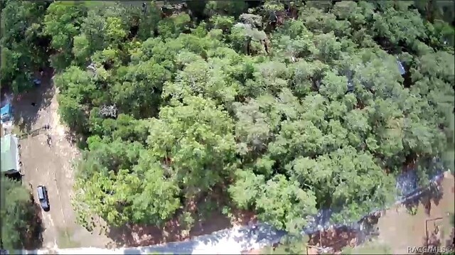4331 S Marcan Ter, Homosassa, FL 34446 - photo 2