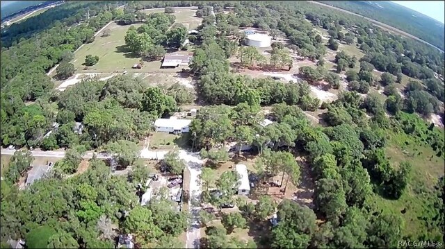4331 S Marcan Ter, Homosassa, FL 34446 - photo 6