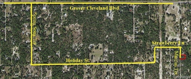 4331 S Marcan Ter, Homosassa, FL 34446 - photo 13