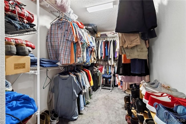 walk in closet with carpet floors