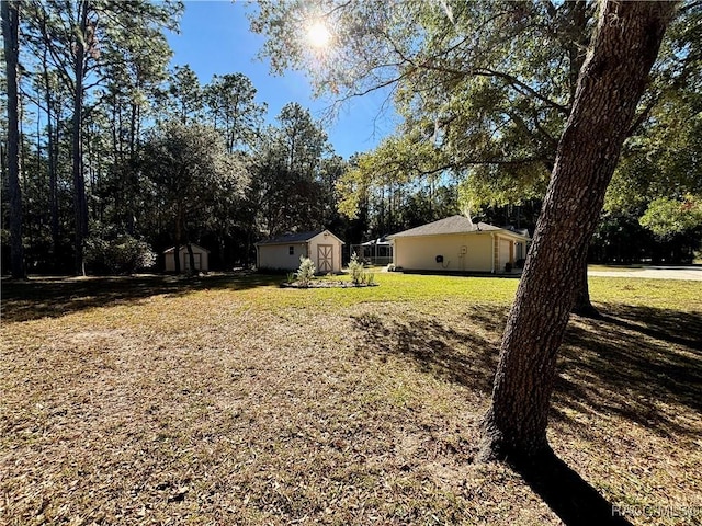 view of yard with a storage shed