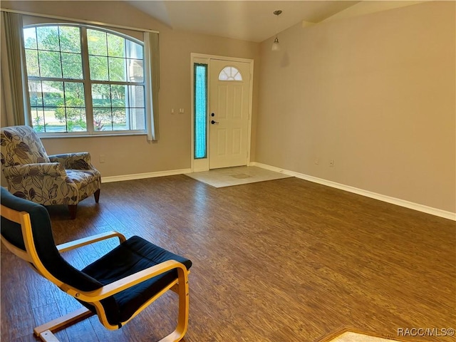 foyer entrance featuring dark hardwood / wood-style floors and vaulted ceiling