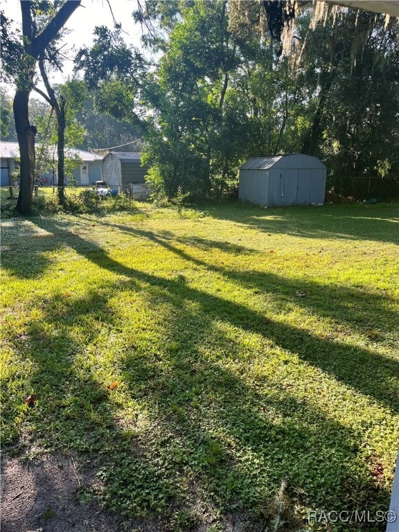 view of yard with a storage shed