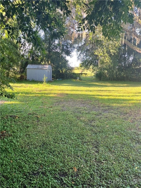 view of yard with a storage shed