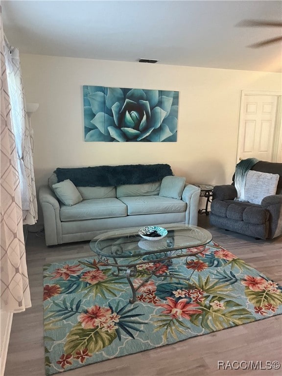 living room with ceiling fan and wood-type flooring