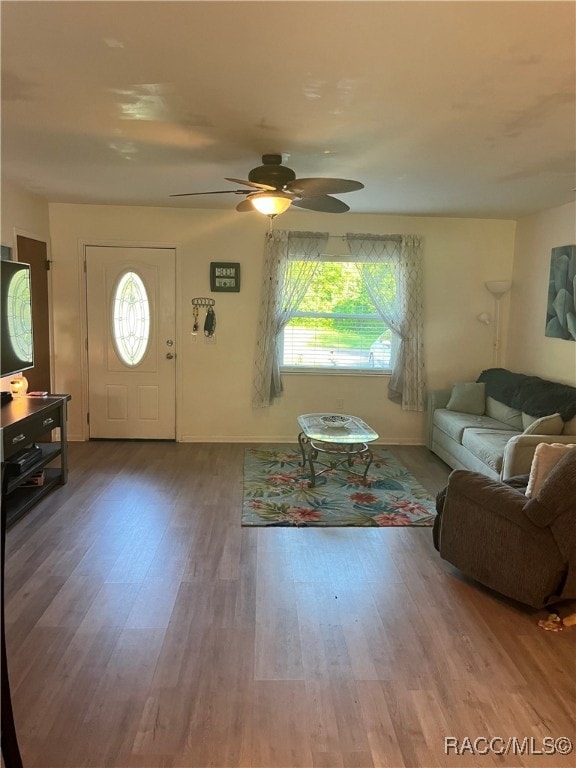 living room with ceiling fan and hardwood / wood-style floors