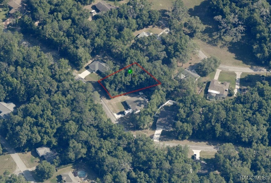 2031 W Beach Plum Dr, Citrus Springs, FL 34434