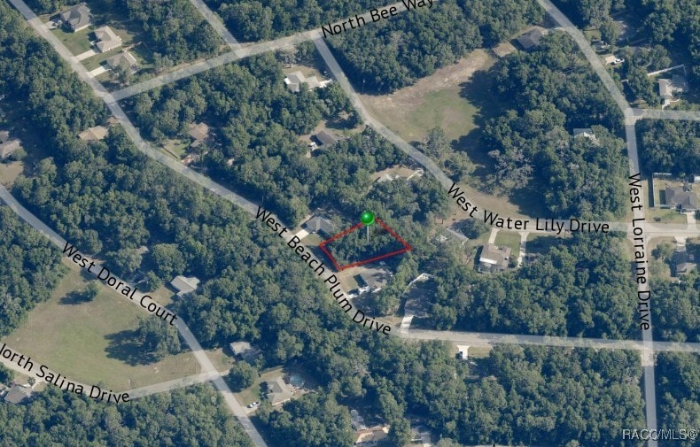 2031 W Beach Plum Dr, Citrus Springs, FL 34434