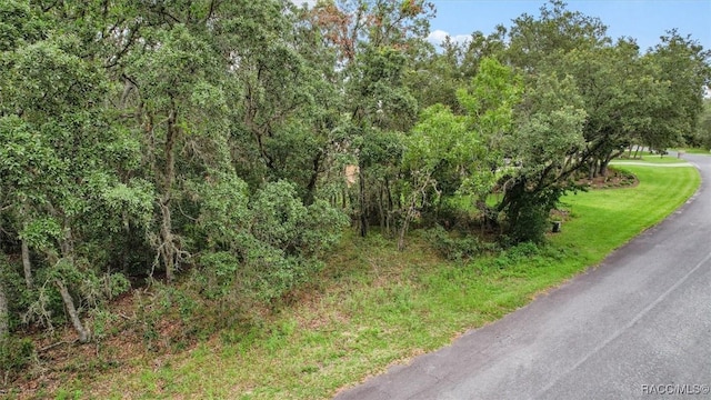 3946 N Longvalley Rd, Hernando, FL 34442