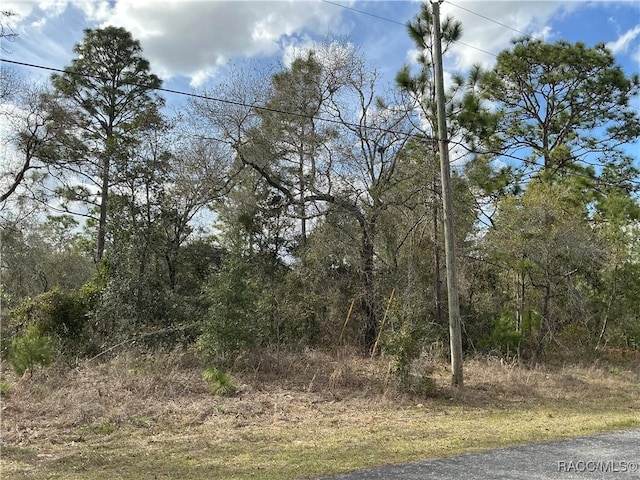 8824 N Trojan Dr, Citrus Springs, FL 34433 - photo 3