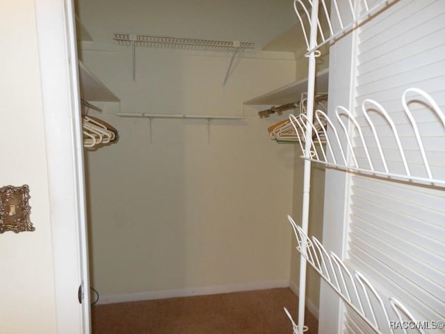 spacious closet with carpet flooring