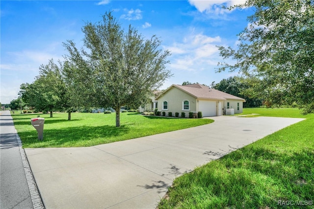2209 N Annapolis Ave, Hernando, FL 34442 - photo 5