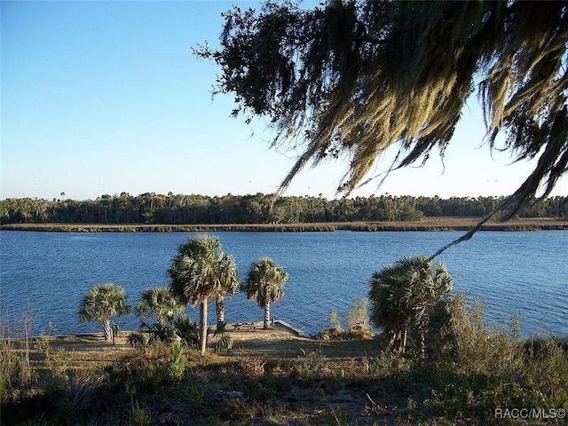 2209 N Annapolis Ave, Hernando, FL 34442 - photo 46