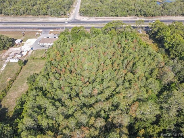6137 S Suncoast Blvd, Homosassa, FL 34446 - photo 11