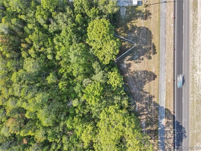 6137 S Suncoast Blvd, Homosassa, FL 34446 - photo 9