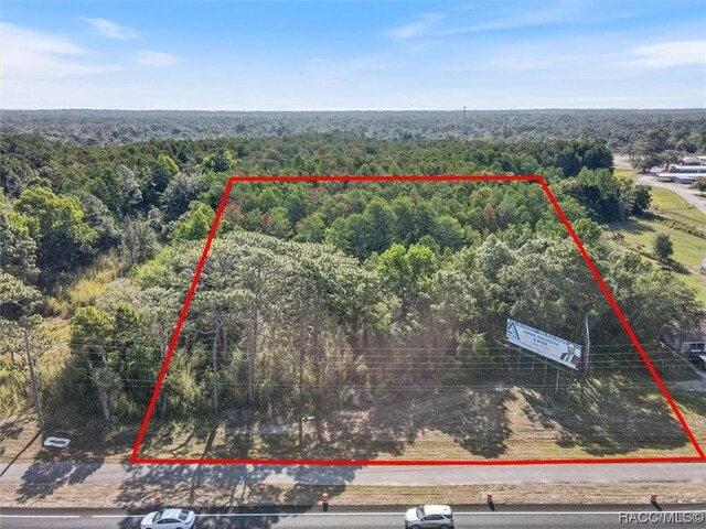 6137 S Suncoast Blvd, Homosassa, FL 34446 - photo 3