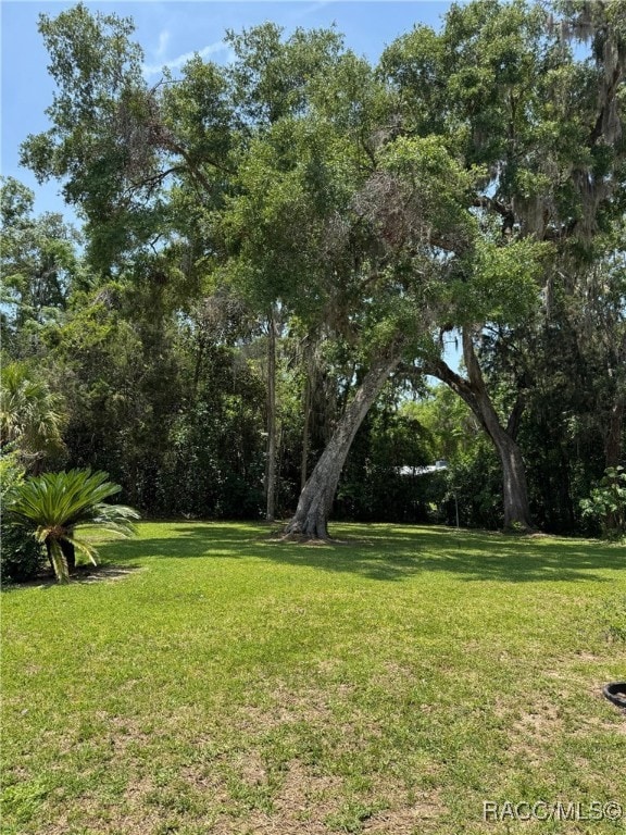 1464 NW 22nd St, Crystal River, FL 34428 - view of green lawn