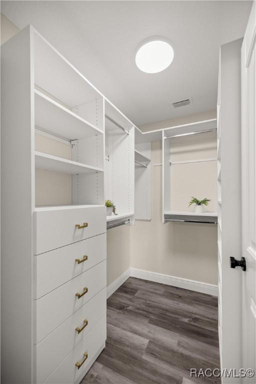 spacious closet featuring dark hardwood / wood-style floors